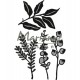 Fustella metallica Marianne Design Craftables Herbs & leaves
