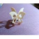 Fustella Sizzix Bigz 3D Butterflies