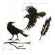 Fustella Sizzix Thinlits Feather & Ravens