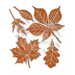 Fustella metallica Leaves